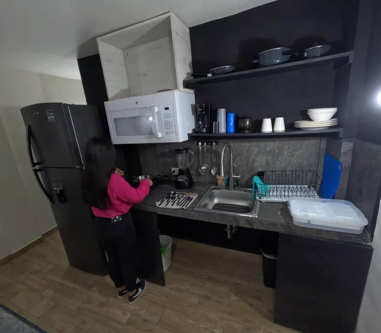 Departamento Privado7, 2 Camas Matri, Parking, Cocina Equipada, Wifi 65 Mb, 2 Climas,Centrico,Tv Smart Apartment Ciudad Valles Luaran gambar